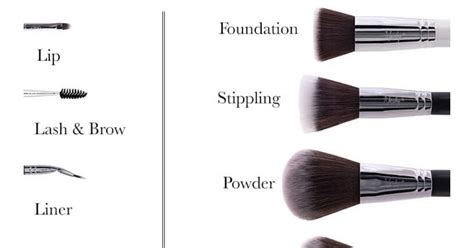 TYPES OF MAKEUP BRUSHES: THE COMPLETE GUIDE TO MAKEUP BRUSH NAMES & USES - Pukrol Satwa