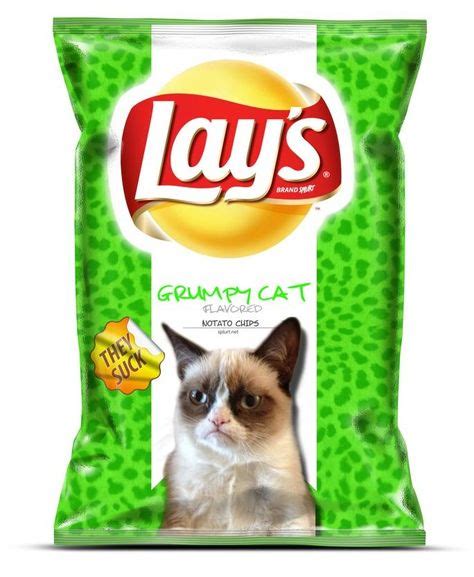 44 Fake Lays ideas in 2021 | lays chips, lays chips flavors, lays flavors