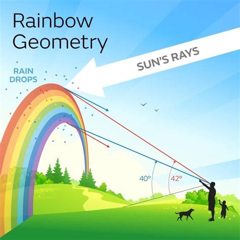 How are rainbows formed? - Met Office | How rainbow is formed, Earth ...