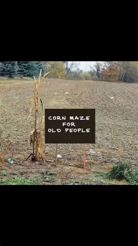 Pin by TrLynn Holifield🐢 on I need a good laugh!!! | Corn maze, Old ...