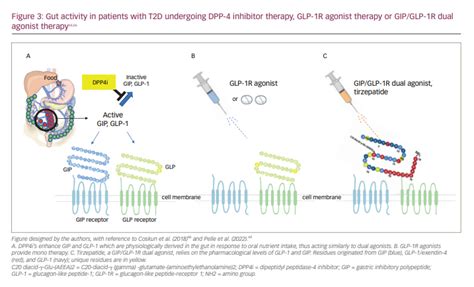 Tirzepatide: A Novel, Once-weekly Dual GIP and GLP-1 Receptor Agonist ...