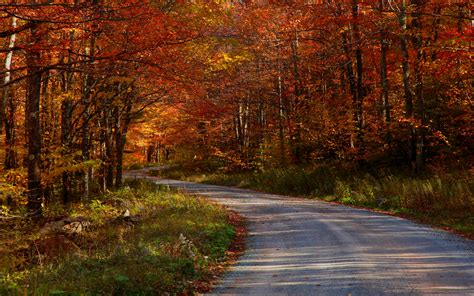 Autumn Free Wallpaper - COUNTRY ROADS..TAKE ME HOME! Wallpapers - HD Wallpapers 93218