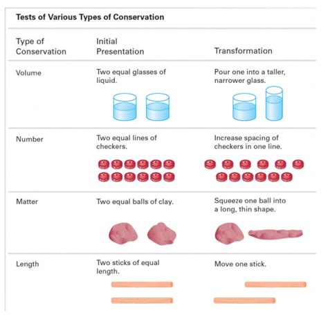 Concrete Operational Stage: Definition Examples, 50% OFF