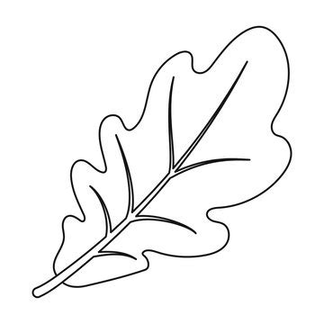 Simple Oak Leaf Outline