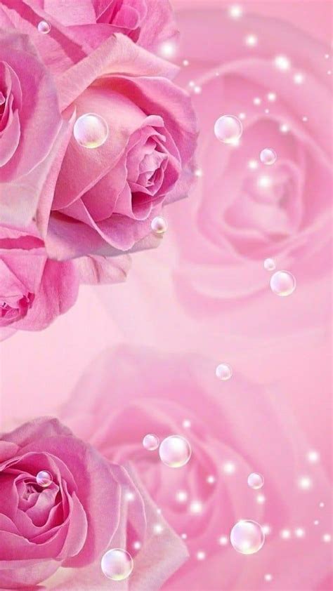 Details 77+ sweet pink rose wallpaper latest - 3tdesign.edu.vn