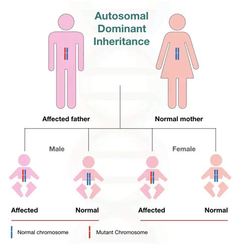 Different types of inheritance pattern