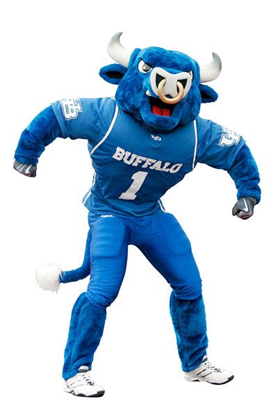 SUNY Mascot Madness Round 1/Game 14 - Buffalo vs Adirondack CC