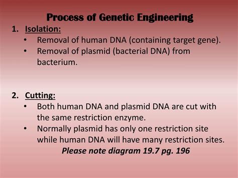 PPT - Chpt. 19: Genetic Engineering PowerPoint Presentation, free download - ID:5629838