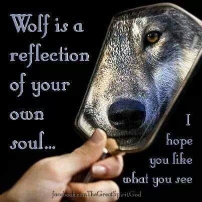 Pin by Merle B on WOLF SPIRIT | Lone wolf quotes, Wolf quotes, Wolf