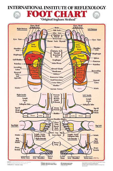 Reflexology — Reflexions the Reflexology Shop