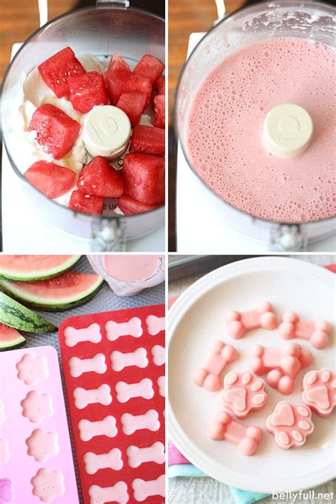 Watermelon Pupsicles {Frozen Dog Treats} - Belly Full