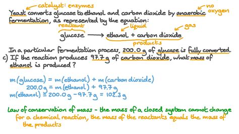 Ethanol Fermentation Equation