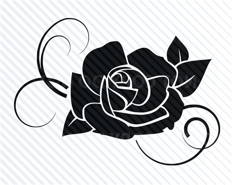 Black Rose Vector at Vectorified.com | Collection of Black Rose Vector free for personal use