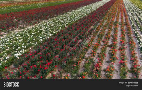 Aerial View Colorful Image & Photo (Free Trial) | Bigstock