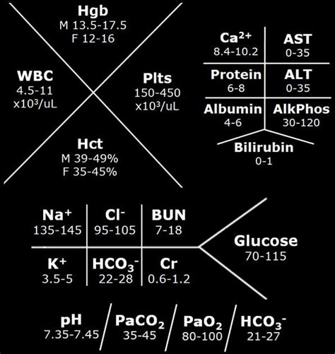 Fishbone Diagram Electrolytes - Wiring Diagram Pictures