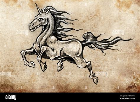 Horse with wings, unicorn, Tattoo sketch, handmade design over Stock Photo - Alamy