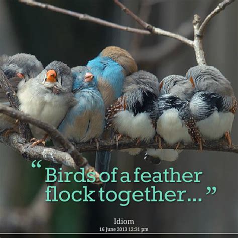 Birds Of A Feather Quotes. QuotesGram