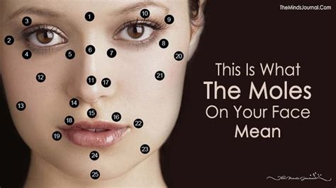 Meaning Of Moles On Your Face And Body: Each Reveal An Intriguing Secret 🔍💫 | Lectura del rostro ...