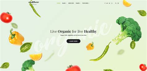 13 Best Organic Food WordPress Themes 2024 - Colorlib