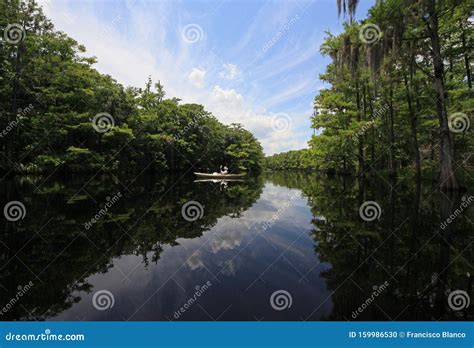 Active Senior Kayaking on Fisheating Creek, Florida. Stock Photo - Image of forest, reflection ...