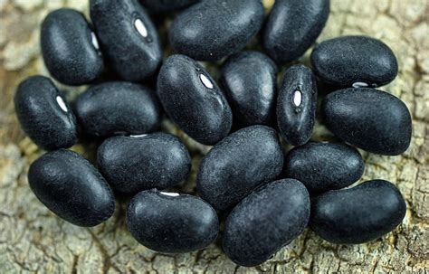 Rare Heirloom Seeds | Baker Creek Heirloom Seed Co | Black turtle beans, Beans, Bean varieties