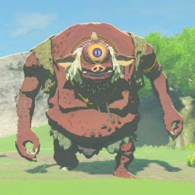 Hinox | Nintendo | Fandom