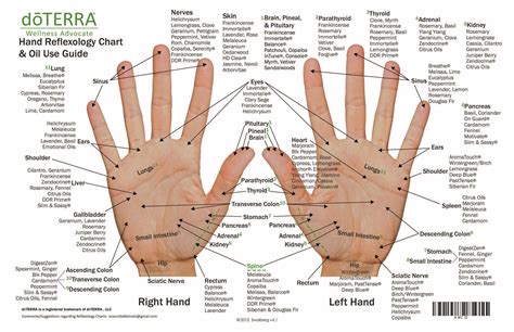 Image result for foot reflexology and essential oils chart | Reflexology chart, Reflexology foot ...