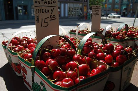 What's Fresh Toronto? Cherries!