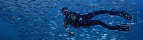 Koh Tao Diving - Scuba Courses, Schools, Sites, Padi Packages & Prices