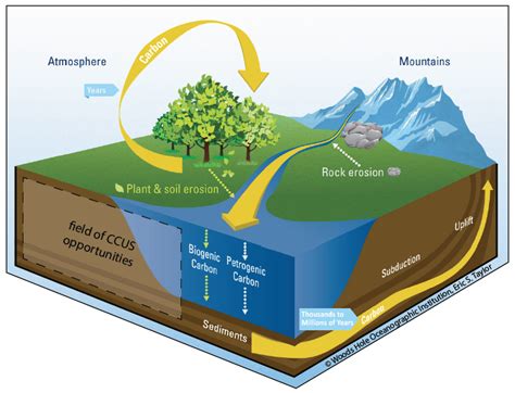 Big picture perspective of the natural biogenic and geologic carbon ...