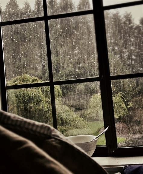 Rainy mood, I love rain, Rainy days