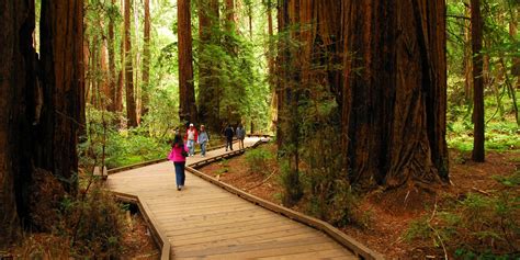 Muir Woods National Monument | Outdoor Project