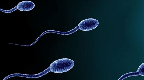 Azoospermia - Newlife IVF