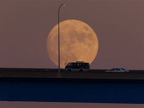 Super Blue Moon 2023: Rare spectacle lights up skies across the world– in pictures | News-photos ...