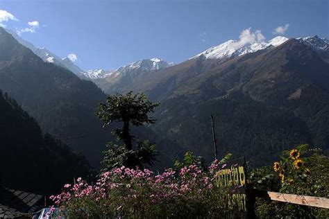 Best Time To Visit Kasol > Weather & Festivals