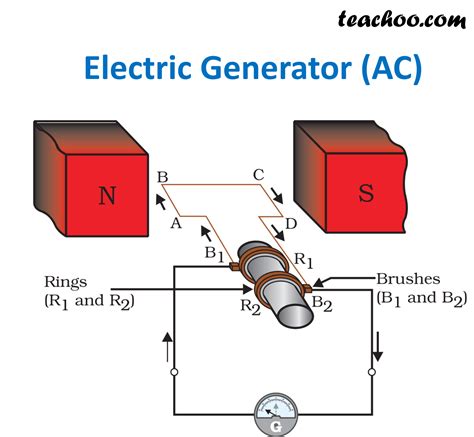 Ncert Q16 Explain The Principle And Working Of An Electric Generator ...