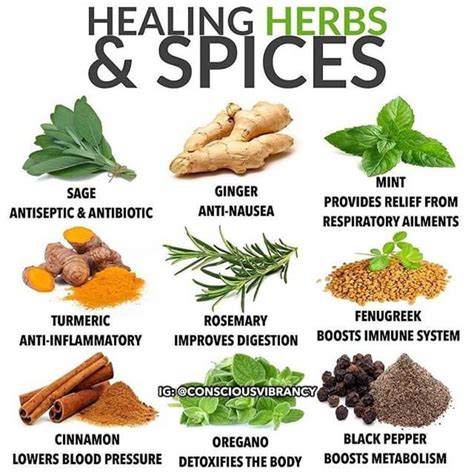 Herbs & Spices Make Our Meals Extra Medicinal ⚕🌝 - Follow 👉🏼 (@teamplants) - Plant-Based Health ...