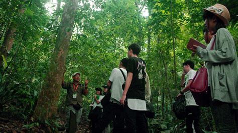 Forest Research Institute Malaysia (FRIM) - Tourism Selangor