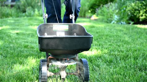 Grass Seed Spreader Settings – Merrifield Garden Center