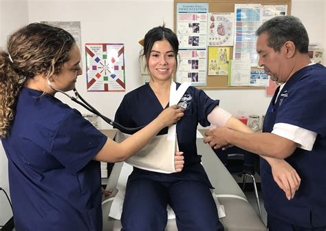 Choosing the Best CNA Training – Brilliant Blueg