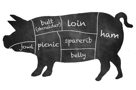 Guide to Common Cuts of Pork - Page 4 of 8 - Farm Flavor