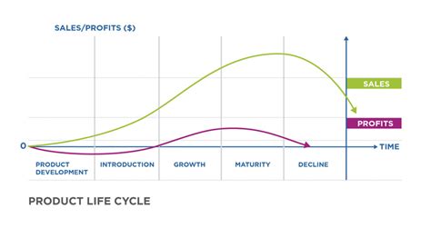 Reading: Stages of the Product Life Cycle | Principles of Marketing