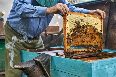 Process of harvesting honey from containing bee, beehive, and hive | Nature Stock Photos ...