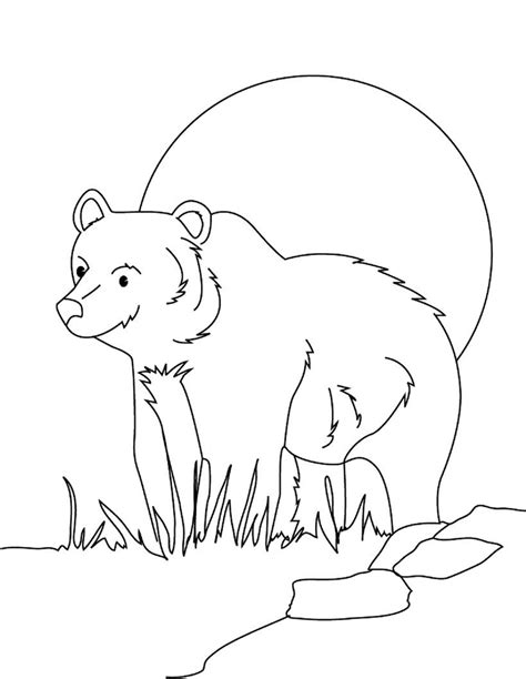 Smiling Grizzly Bear coloring page - Download, Print or Color Online for Free