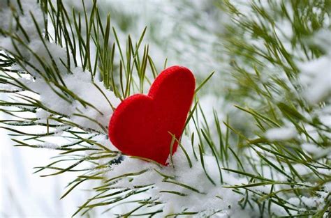 Download Free Winter Love Wallpaper. | Fondos de pantalla de invierno, Fondos de pantalla amor ...