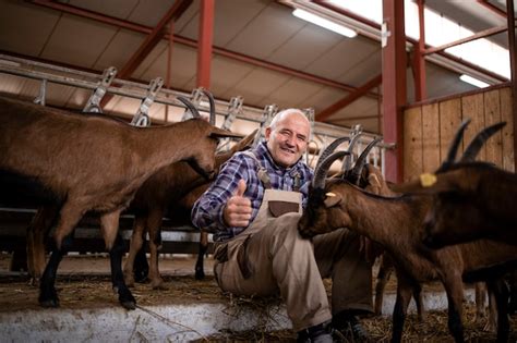 Premium Photo | Farm worker taking care of domestic animals and playing with goats at farmhouse.