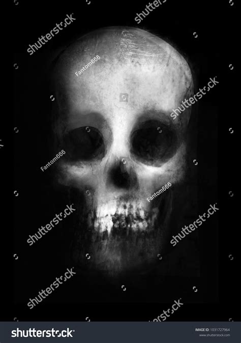 Scary Skull Isolated On Black Background Stock Illustration 1031727964 | Shutterstock