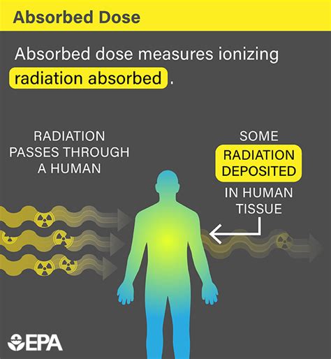 Radiation Terms and Units | US EPA