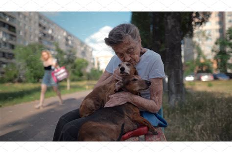 Animal theme is a lonely old woman | Animal Stock Photos ~ Creative Market