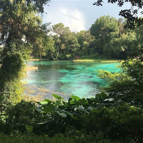 RAINBOW SPRINGS STATE PARK - Campground Reviews & Photos (Dunnellon, Florida) - Tripadvisor